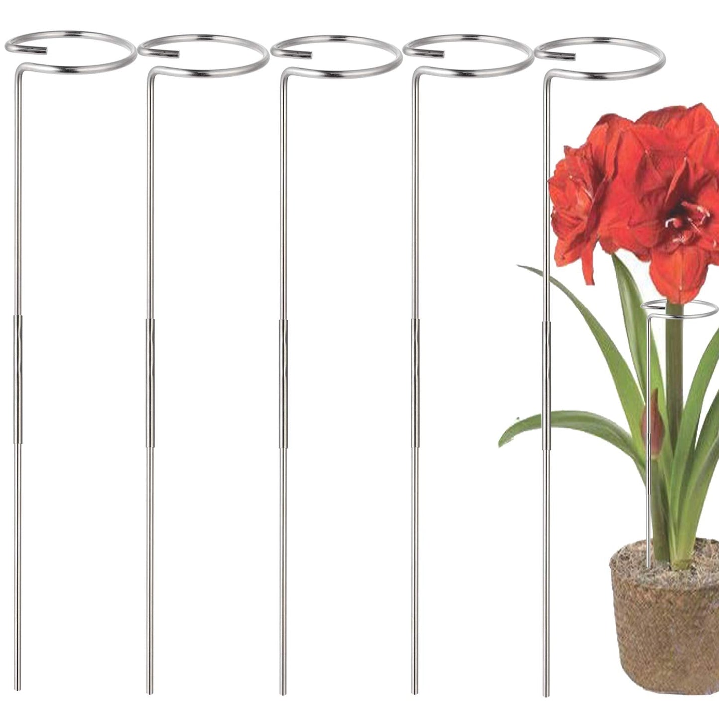 RAIKEDR 30 Inch Or 16 InchPlant Stakes for Flowers - 5 Pack (DIY), Stainless Steel Garden Tall Single Stem Support Stake Plant Cage Support Rings with Adjustable Height Fit Flowers, Plant Stable