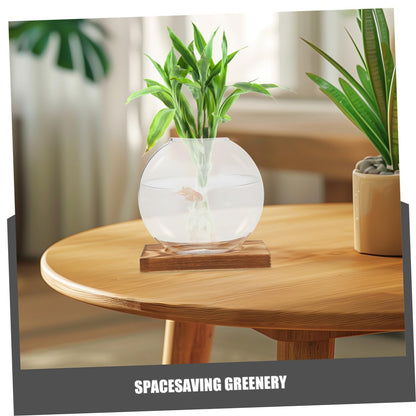 BESPORTBLE 2pcs Hydroponic Plant Propagation Vessels with Wooden Stand, Glass Containers for Home and Office, Plant Terrariums for Shelf Display and Indoor Gardening