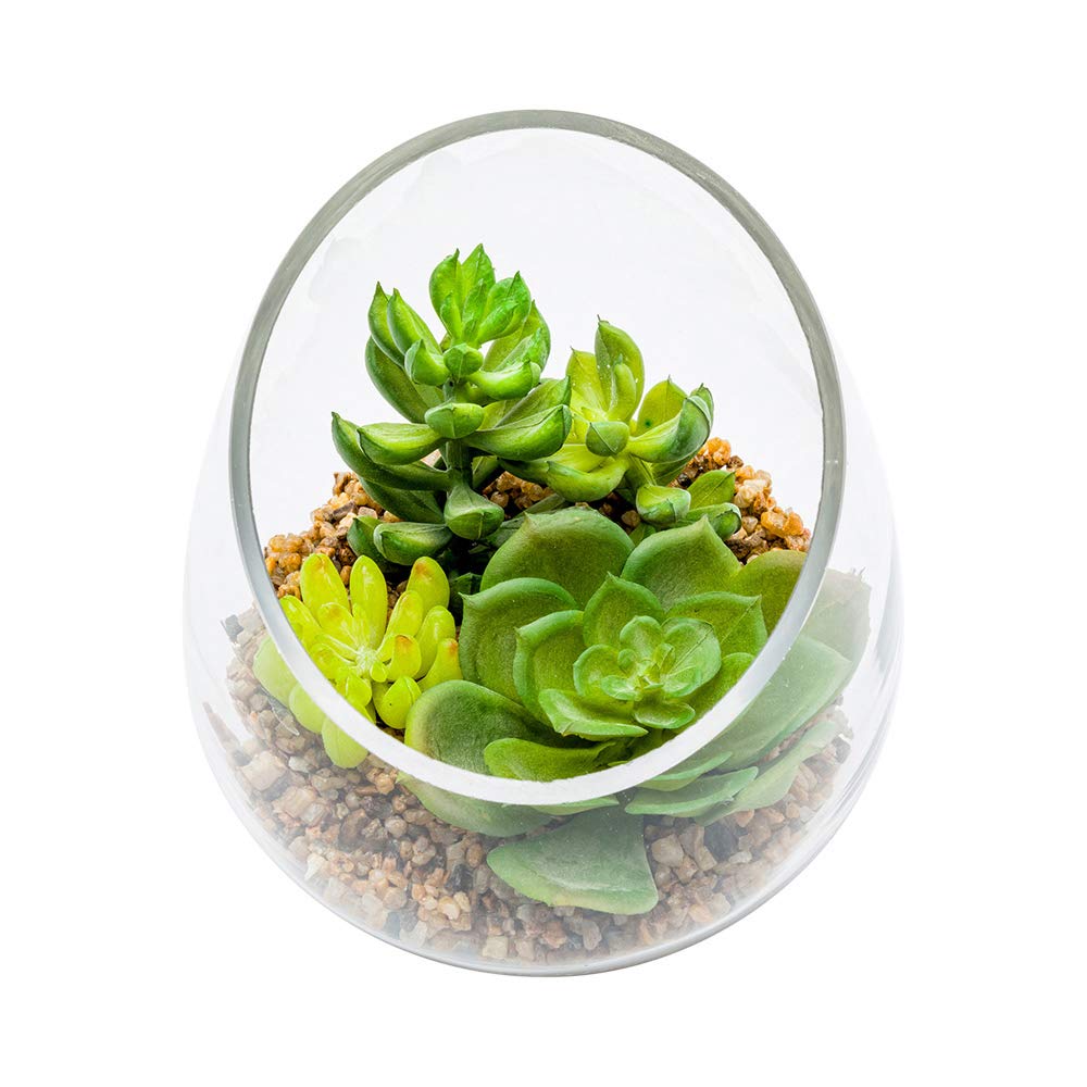 Restaurantware-4.7 x 5 Inch Faux Succulent, 1 Artificial Succulent - In Incline Edge Glass Terrarium, Use As Table Or Shelf Decor, Centerpiece, Plastic Fake Desk Plant, For Homes Or Weddings