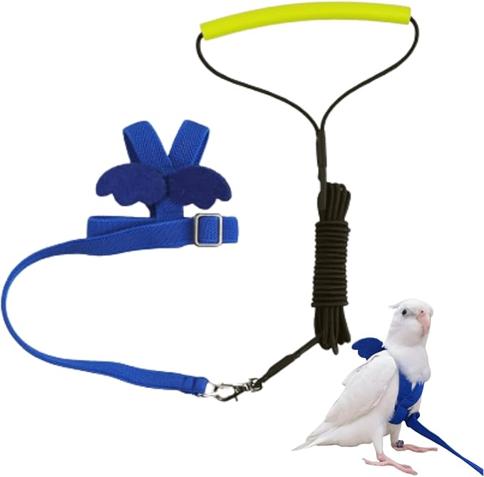 Pet Parrot Bird Harness and Leash, Adjustable Training Design Anti-Bite, Bird Nylon Rope with Cute Wing for Lovebird Budgie African Grey Macaw Conure (Blue,S)
