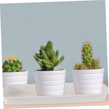 BESPORTBLE Planter Tray: 4pcs Plastic Plant Saucer, Rectangular Planter Pot Saucers, Plant Trays Rectangle Square Pans