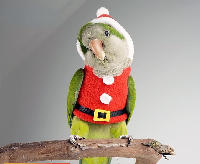 Bird Clothes Birds Flight Suit, Christmas Hoodie for Parrots Cockatiel Sun Conure Christmas Party Cosplay Photo Prop Bird Shirt Small Animals Apparel (Without Diaper,Blue Quaker)