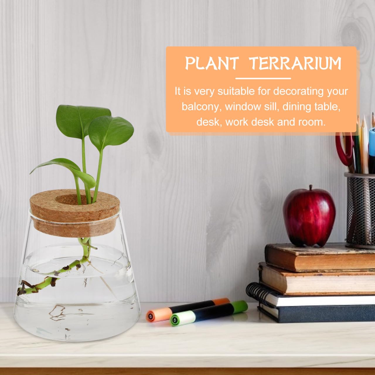 Garneck 2Pcs Desktop Glass Terrarium Transparent Glass Hydroponic Planter Vase Set Micro Landscape Terrarium Container for Home and Office Decor