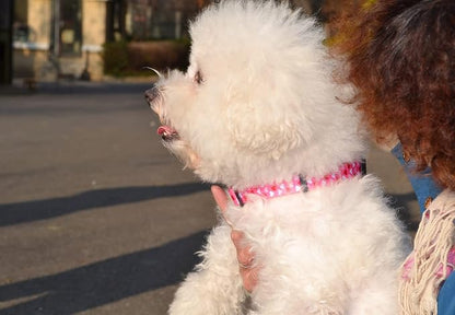 Mihqy Dog Collar - Adjustable Heart Dog Collar - Love Theme - Perfect for Small Medium Large Dogs(Pink Heart,M)