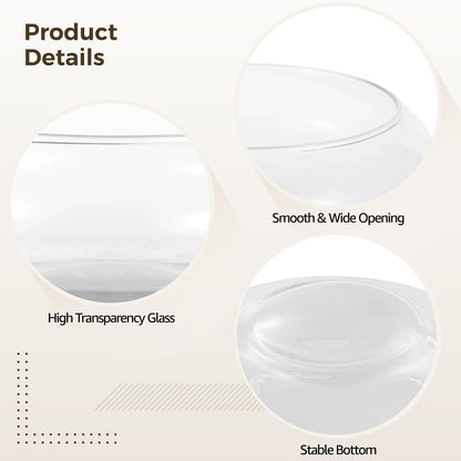 2 PCS Round Glass Vase Bowl, 6"/ 8" Wide Mouth Round Glass Bowls, Succulent Planters, Fish Tank, Bubble Vases, Floral Decor Centerpieces, Flower Pots for Home Decoration (2PCS)