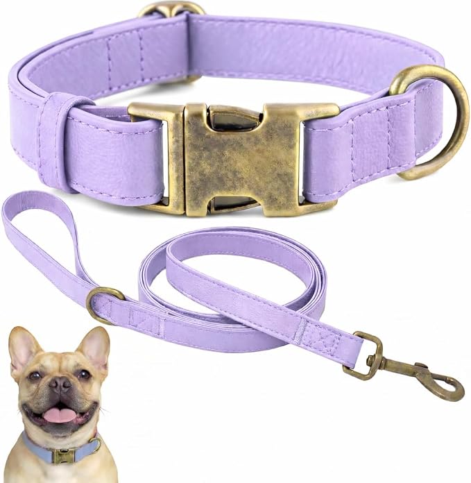 Silicone Dog Collar and Leash Set, Waterproof & Odor-Proof Puppy Collar for Small Dogs, Soft Flexible Leather-Look Dog Collars, Durable Thick Adjustable Pet Collar (Purple, Small (11-15.5" Neck))