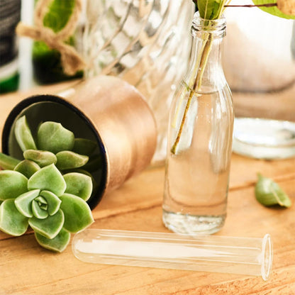 SHINEOFI 4pcs Glass Propagation Tubes Test Tube Vases Hydroponic Plant Holder 2.5x3x18cm Glass for Desktop Terrarium and Home Décor