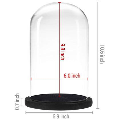 MyGift The Bell Jar Glass Cloche with Black Wood Base, 10 Inch Tall Clear Decorative Glass Dome Display for Plants, Curios, Keepsakes, Heirlooms