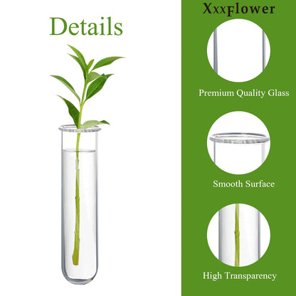 XXXFLOWER Glass Propagation Stations Accessories Glass Test Tubes Tiers Planters Wall Terrarium for Home Office Plant Hanger Flower Vases Wall Decor Hydroponic Cuttings (4 Tube Vases) Clear
