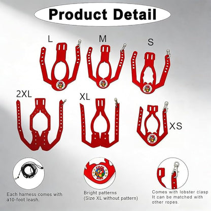 Adjustable Bird Harness & Leash Set for Small Birds,FitsBudgie,Parakeets, Conures, Cockatiels,Green Cheek,Quaker Parrots(Red, S) Z6350-2