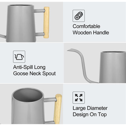 Watering Can Indoor Plants, 35 oz/1000 ml Metal Stainless Steel Watering Can Pot with Long Spout for Indoor House Plants Bonsai Outdoor Garden Flower Decorative (Gray)
