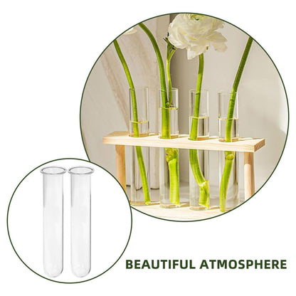 HEALEEP Glass Test Tubes for Plant Propagation 5pcs 2.5x3x15cm Hydroponic Floral Vase Glass Tubes for Small Terrarium Plants and Home Décor