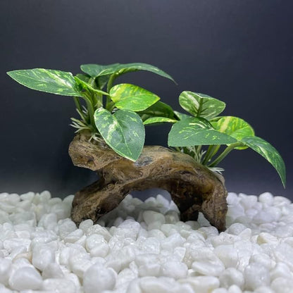 Fish Tank Decorations Aquarium Decor Ornaments Betta Silk Leaf pad Hammock Artifical Driftwood cave Goldfish Bowl Accessories (Type-C)