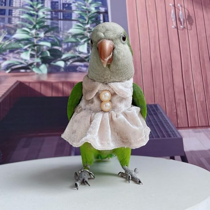 Bird Costume Bird Diaper Flight Suit Parrot Velvet Fleece Skirt Clothes Cosplay Photo Prop for Conure Lovebird Parakeet Cockatiel Macaw Small Animals Apparel (White,Sulphur-Crested Cockatoo)