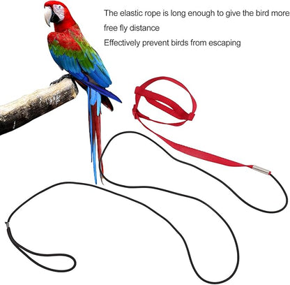 Elastic Parrot Harness Leash Bird Leash Bite Proof Harness Adjustable Parrot Flying Training Rope with Metal Hook Nylon Webbing for Cockatiels Walking (L)