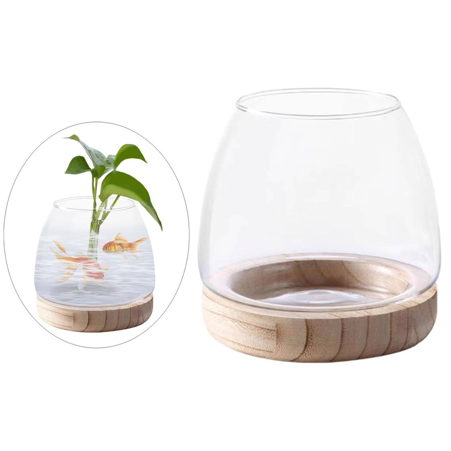 FQRDKT Glass Plant Holder with Wooden Base for Indoor Office Use, Large