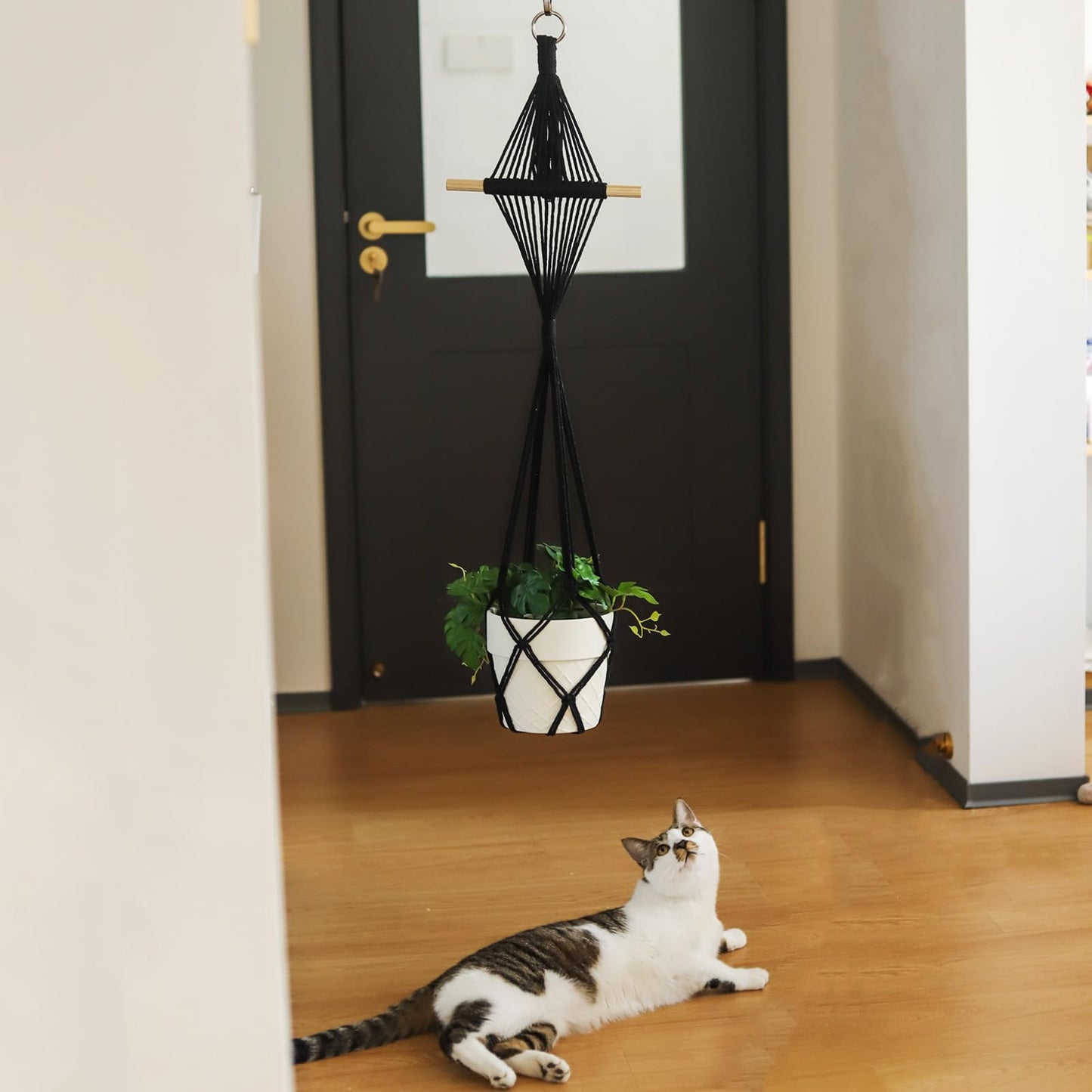 XINBOR 4 Pack Macrame Plant Hangers Indoor Up to 10 inch Pot, Boho Hanging Planters, Plant Holder with 8Pcs Stainless Steel Hooks(4Pcs Black Hanger)