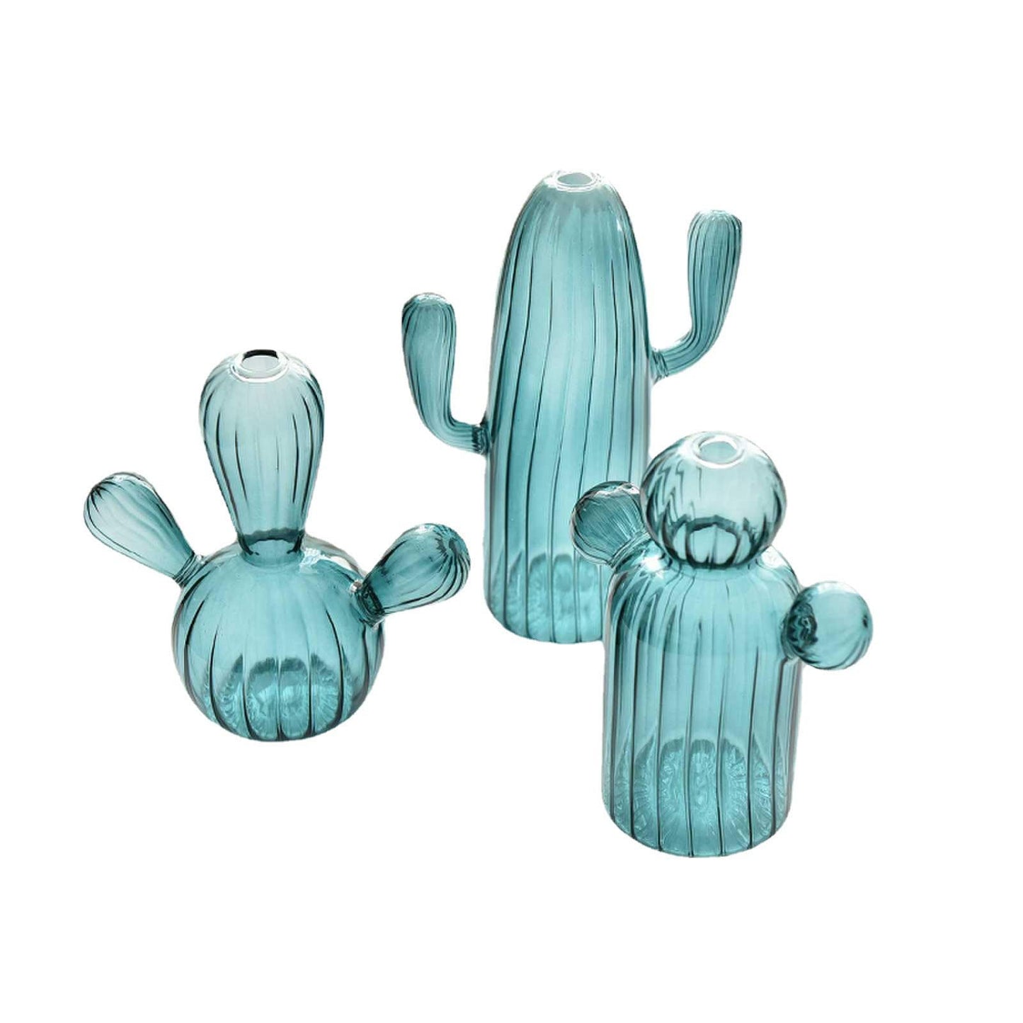 Cactus Glass Vase Flower Plant Flowerpots Decorations Home Hydroponics Terrariums Flower Arrangement Flowerpots Livingooms Decors Cactus