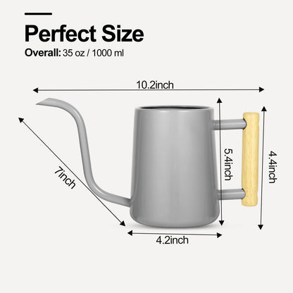 Watering Can Indoor Plants, 35 oz/1000 ml Metal Stainless Steel Watering Can Pot with Long Spout for Indoor House Plants Bonsai Outdoor Garden Flower Decorative (Gray)