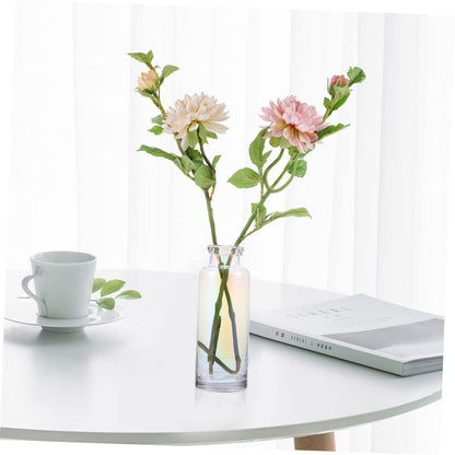 Alipis Glass Hydroponic Vase for Desktop Home Decoration Plant Terrarium Planter for Office and Events Modern Design for Hydroponics and Floral Arrangements
