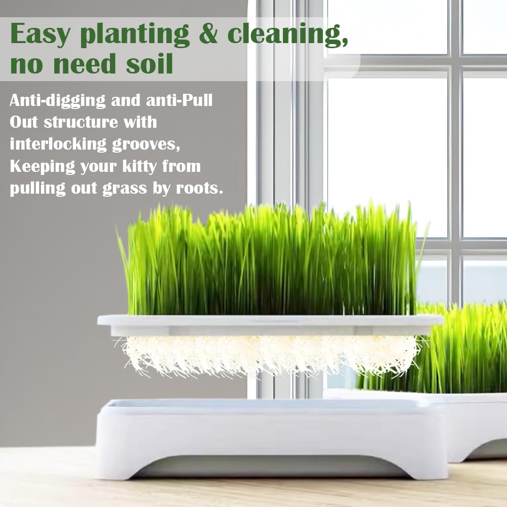 YjiaYjiaY 2-Pack Cat Grass Planter (No Seeds Included), Tri-Section Design, Anti-Pull Out Cat Grass Seed Starter Tray, Sprouts Growing Kit, Microgreens Growing Trays