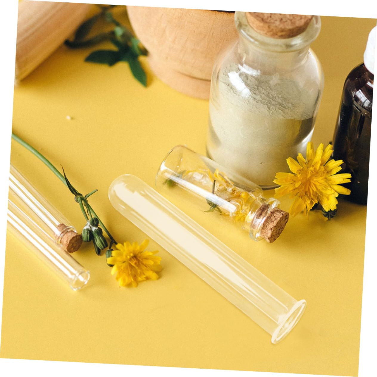 Zerodeko 5pcs Glass Propagation Tubes for Live Plants Hydroponic Test Tube Planter Transparent Glass Vases for Home Office Terrarium Cuttings Root Observation