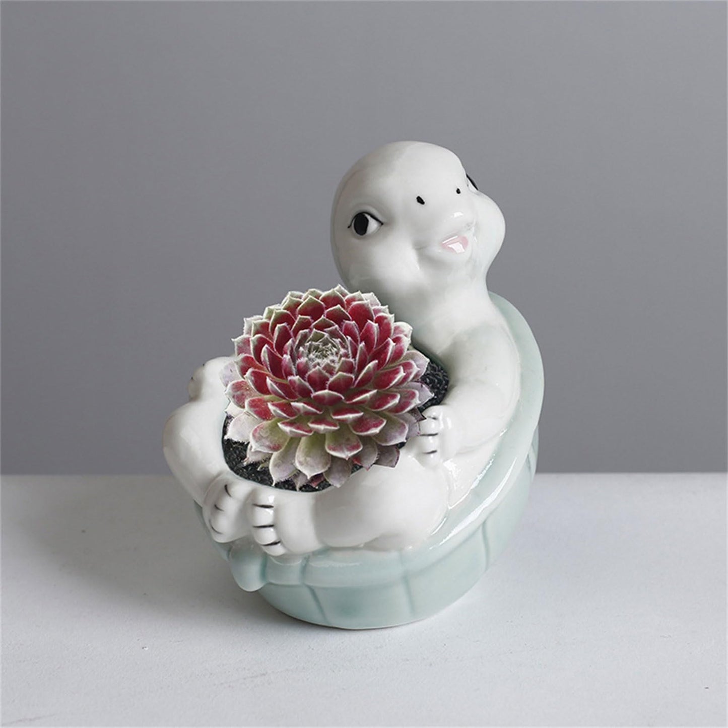 jiingekk Succulents Plant Pots Turtles Planter Flower Pots Planting Pots For Cactus Succulents Planter For Indoor Plant Indoor Plant Holder