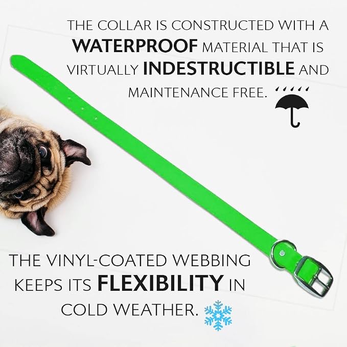 Regal Dog Products Small Light Green Waterproof Dog Collar and Leash Set | Heavy Duty Double Buckle & D Ring - 5'ft Leash | Adjustable Biothane Dog Collar | Chew Resistant Waterproof Collar for Dogs