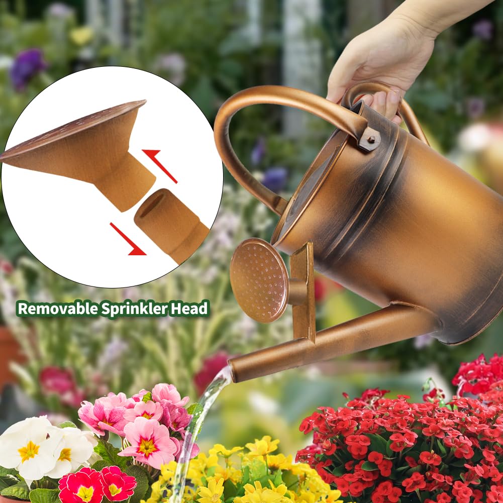 Megawodar 1 Gallon Metal Watering Can with Removable Spout, Nice Galvanized Steel Water Can for Indoor and Outdoor Plants (House Plants)