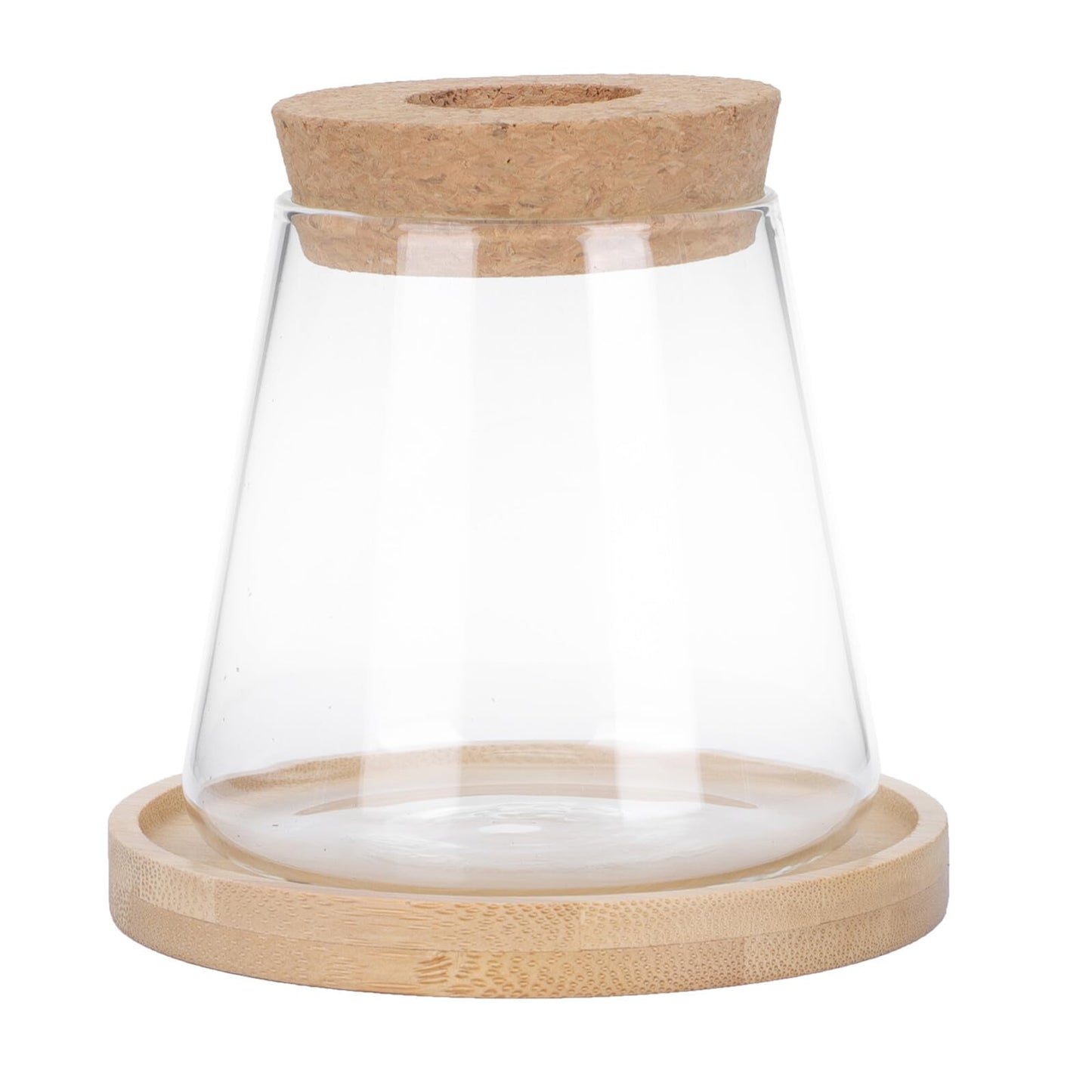 Ipetboom Hydroponic Glass Vase with Wooden Base and Brush, Ecological Bottle for Office Plant Propagation and Gardening Display, Glass Planter Terrarium for Indoor Home Décor
