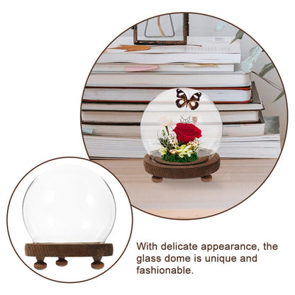MAGICLULU Clear Glass Cloche Dome Bell Jar with Wood Base 10cm DIY Snow Globe Kit Craft Keepsake Display Case Terrarium for Preserved Flower Plant Succulent