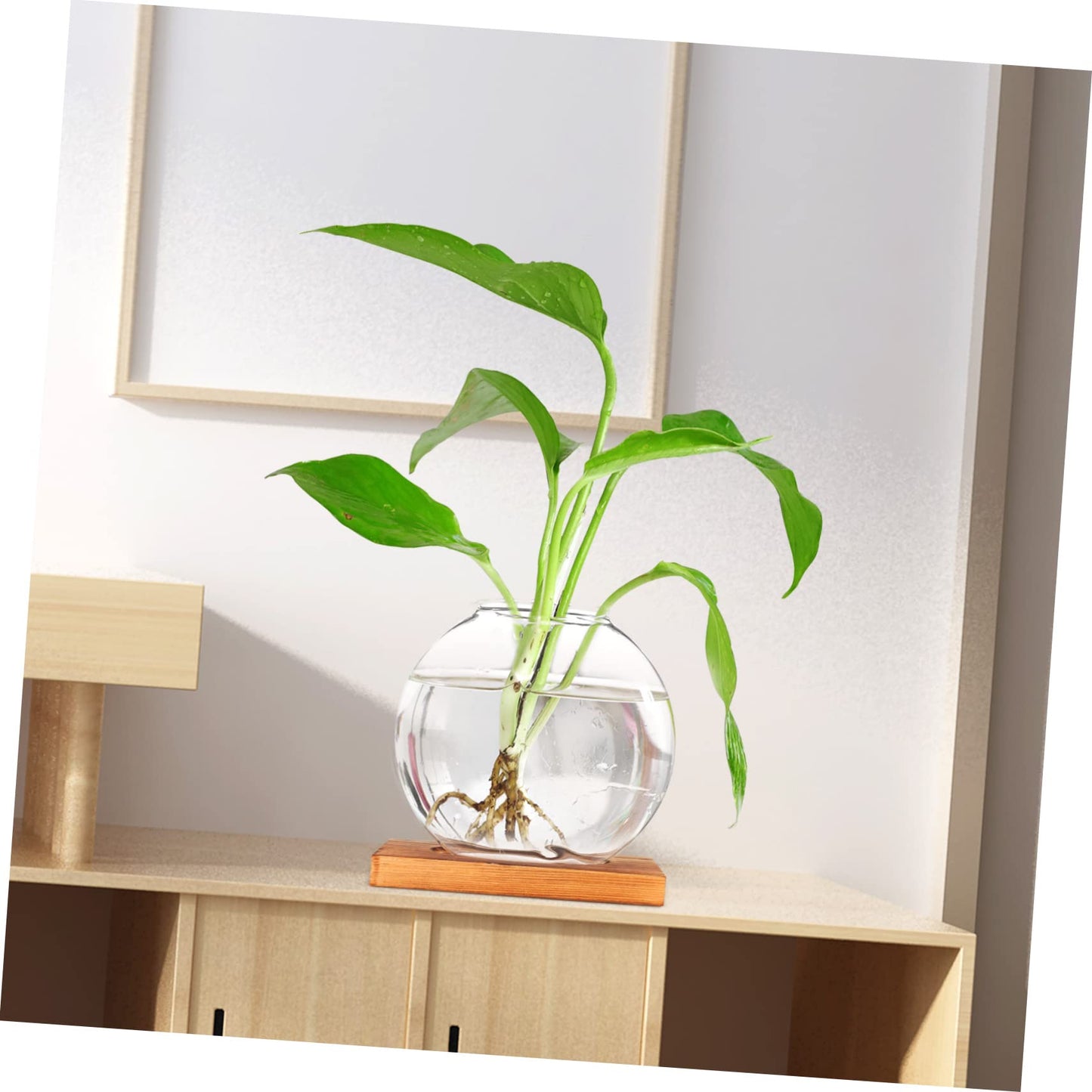 VALICLUD Hydroponic Plant Vase with Retro Base Tabletop Glass Terrarium for Home and Office Decor Chic DIY Decorative Container for Greenery and Floral Arrangements