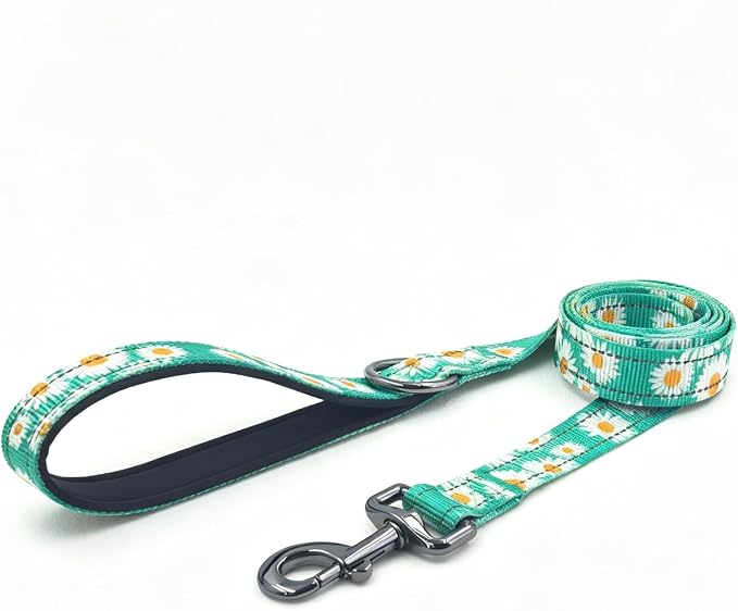 Dog Collar Leash Set, Floral Pattern, with Safety Reflective Strips, 5 ft Matching Leash, Neoprene Padded Handle, Adjustable 4 Sizes for Small Medium Large Dogs.(L, Green Daisy)