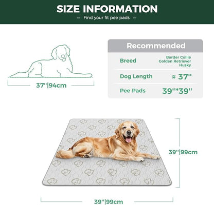 FXW Washable Pee Pads for Dogs, Leak-Proof & Non-Slip, Specifically Designed for Potty Training, Square, 39" x 39", 2 Packs