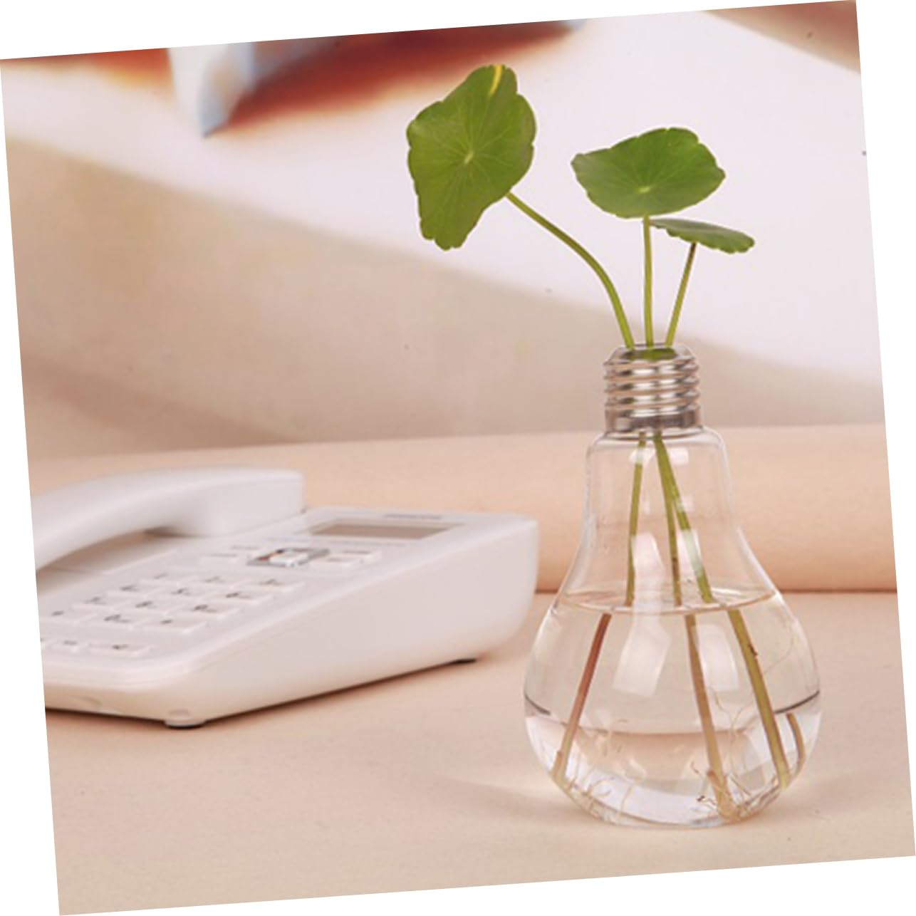 Gogogmee 2 Pcs Glass Lightbulb Vase for Hydroponic Plants Creative Terrarium Container Indoor Wall Hanging Planter for Home Decor Visible Water Level