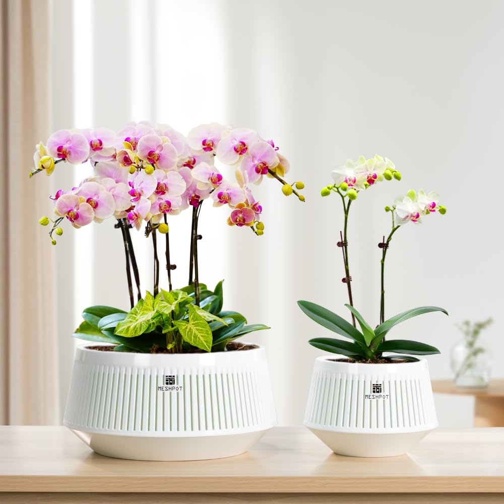 Meshpot 5 inch Orchid Pots with Holes for Repotting,Set of 1,Decorative African Violet Pots with Air-Pruning and Good Air Circulation,Plastic White Orchid Planter with Saucers