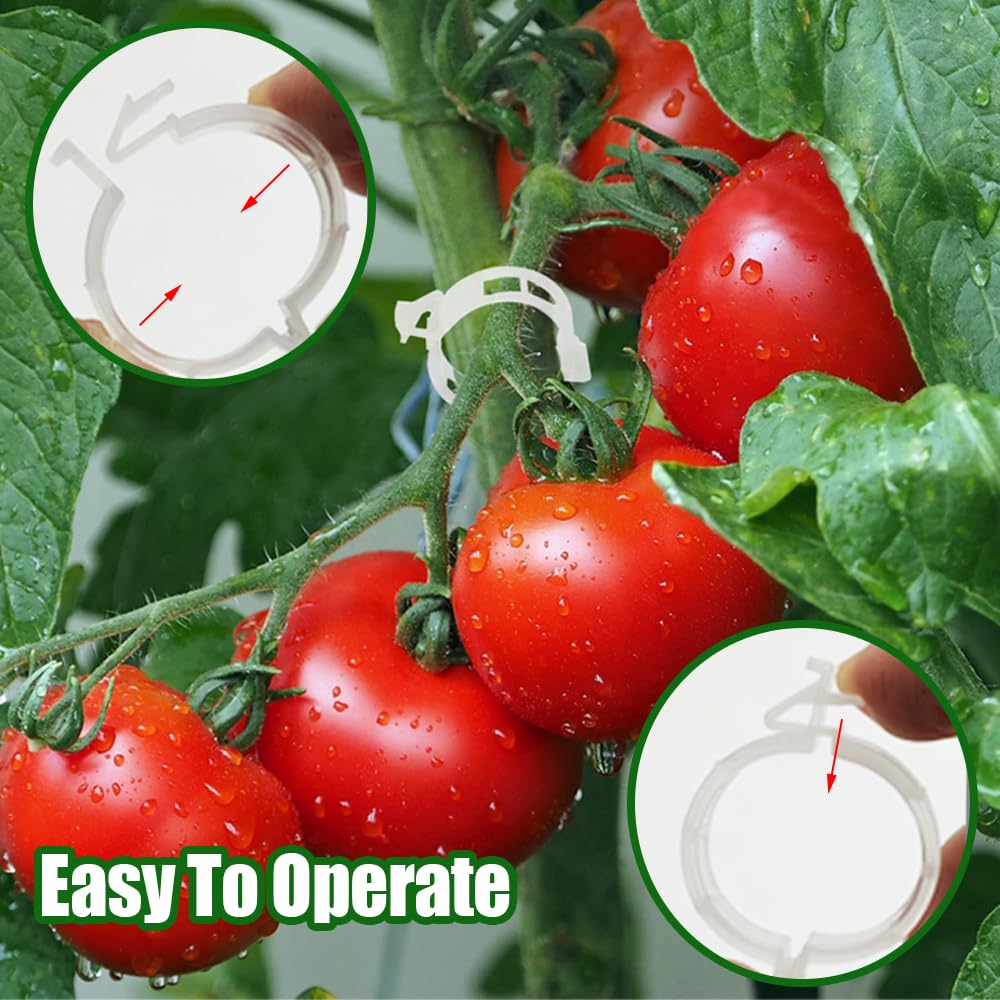 Paradi star 130Pcs Tomato Hooks with String,Plant Support Clips,Tomato Support Hook for Climbing Plants,Tomato Holder Hooks with 32.8ft Twine to Prevent Vegetable Fruit from Pinching or Falling Off