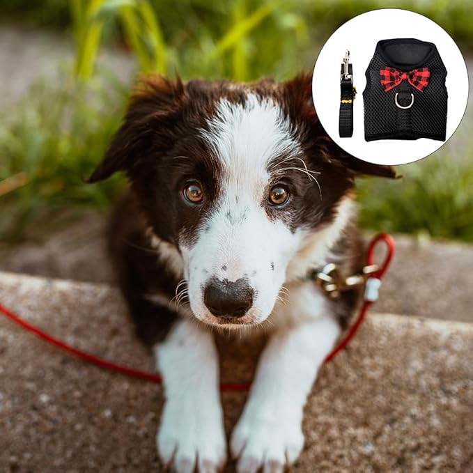 Pet Harness Vest for Small Animals Mesh Chest Strap Breathable No-Pull Dog Harness Black L (Chest 35-40cm) for Rabbits Guinea Pigs Squirrels