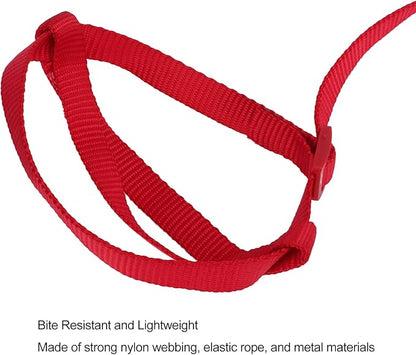 Elastic Parrot Harness Leash Bird Leash Bite Proof Harness Adjustable Parrot Flying Training Rope with Metal Hook Nylon Webbing for Cockatiels Walking (L)