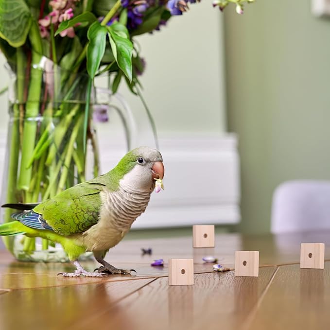 Yardwe Parrot Chewing Blocks 100Pcs Wooden Bird Cage Toys with Hanging Holes for Beak Trimming and Mental Stimulation Suitable for Parakeets Cockatoos Macaws