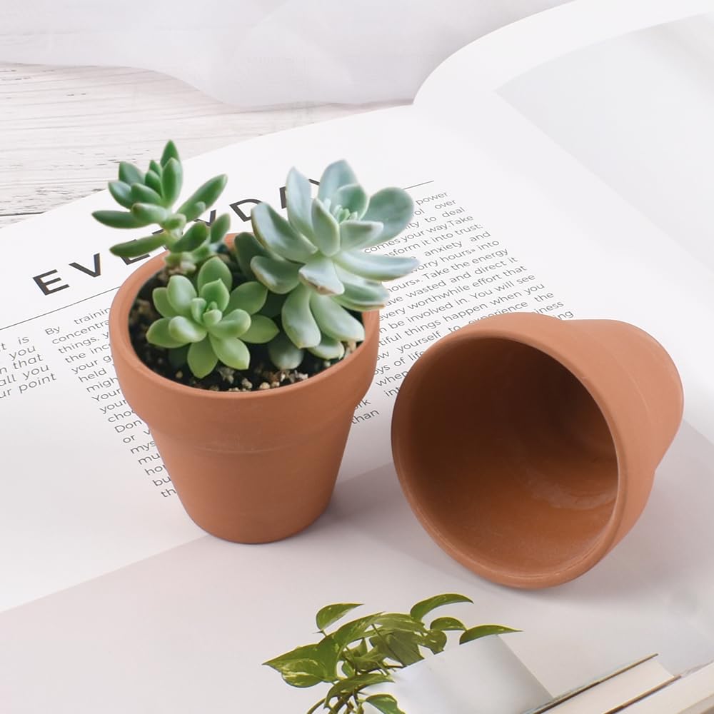 Luckforest Mini Clay Pots, 24 Pcs 2" Terracotta Pottery Planters for Cactus, Succulents, Flowers DIY Crafts Home Kitchen Decor