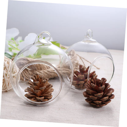 Cabilock 6pcs Clear Hanging Glass Vases Flat Base Design for Succulents and Plants for Terrarium Displays and Wedding Decor Lightweight Borosilicate Glass