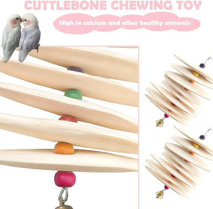 DQITJ 2 Pack Bird Cuttlebone Calcium Supplement Chewing Toy Beak Grinding Stone Natural Bird Toy with Bell for Parakeet Cockatiel Budgie Conure Sharp Beaks (8 Pcs in a Bunch)
