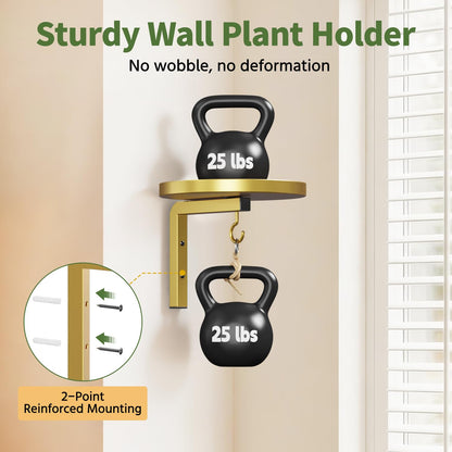LASZOLA Plant Hangers Shelves Wall Mounted Indoor with Grow Lights, Metal Window Plant Holders, 2Pcs Modern Floating Flower Display Stand with 2 Hooks for Outdoor Kitchen Bathroom Decor, Gold