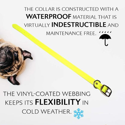 Regal Dog Products Large Yellow Waterproof Dog Collar and Leash Set | Heavy Duty Double Buckle & D Ring - 5'ft Leash | Adjustable Biothane Dog Collar | Chew Resistant Waterproof Collar for Dogs