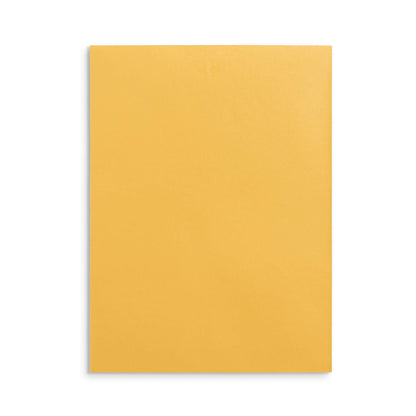 Blue Summit Supplies 100 9” x 12” Clasp Envelopes with Gummed Seal, Letter Size Clasp Mailing Envelopes Made From 28lb Kraft Paper, For Mailing Larger Papers or Magazine, Bulk 100 Pack