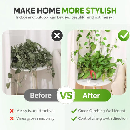 Pothos Plant Fixer, Plant Climbing Wall Fixture Clips, Vegetable Plastic Clip, Garden Self Strong Adhesive Hook, Grape Vine for Indoor Outdoor Traction Wire Invisible Clip Decoration (30, Green)