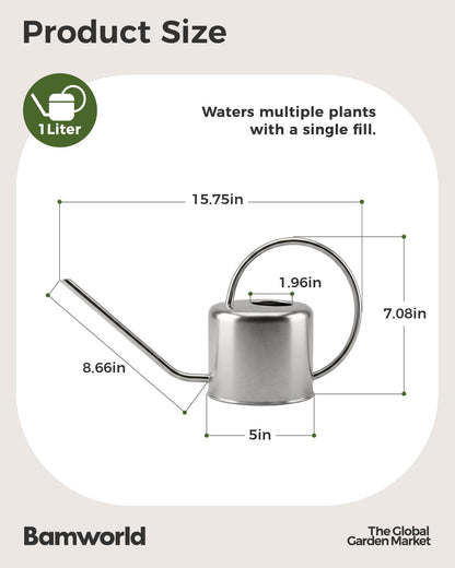 Bamworld Metal Watering Can for Indoor Outdoor Plant 1L/35oz Silver Stainless Steel Watering Can with Long Spout for House Potted Plants Succulents Bonsai Garden Flowers