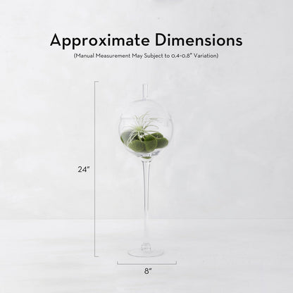 Z Gallerie Jules Glass Cloche, Hand-Blown Glasses Display Dome for Decorative Showcase Elegant Terrarium for Curated Home Decor, Artistic Canister for Sentimental Displays, Clear, 24"