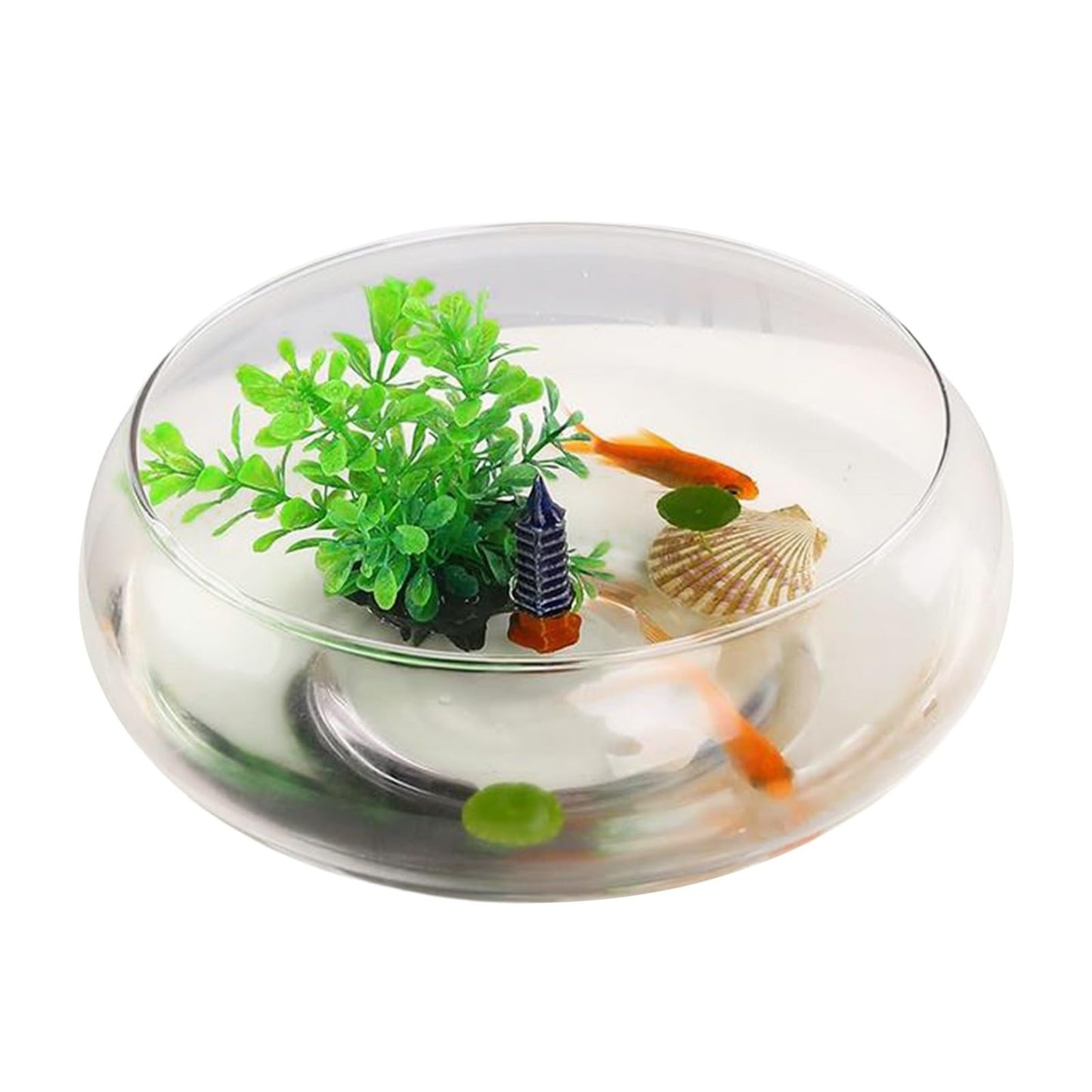 Flower Glass Vase, Bowl Terrarium Succulent Planter, Air Plant Hydroponic Display, Floating Candles Decorative Centerpiece Floral Container for Home or Wedding, Clear